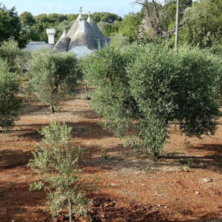 Tenuta Don Mimì. Valle d'Itria, Puglia. - Casa con 4 camere da letto - 97