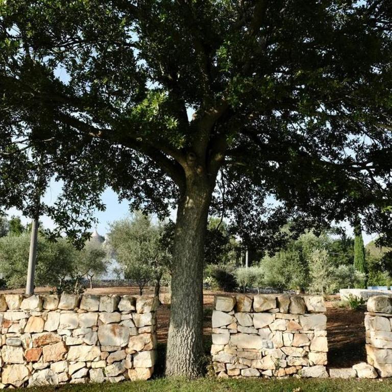 Tenuta Don Mimì. Valle d'Itria, Puglia. - Casa con 4 camere da letto - 6