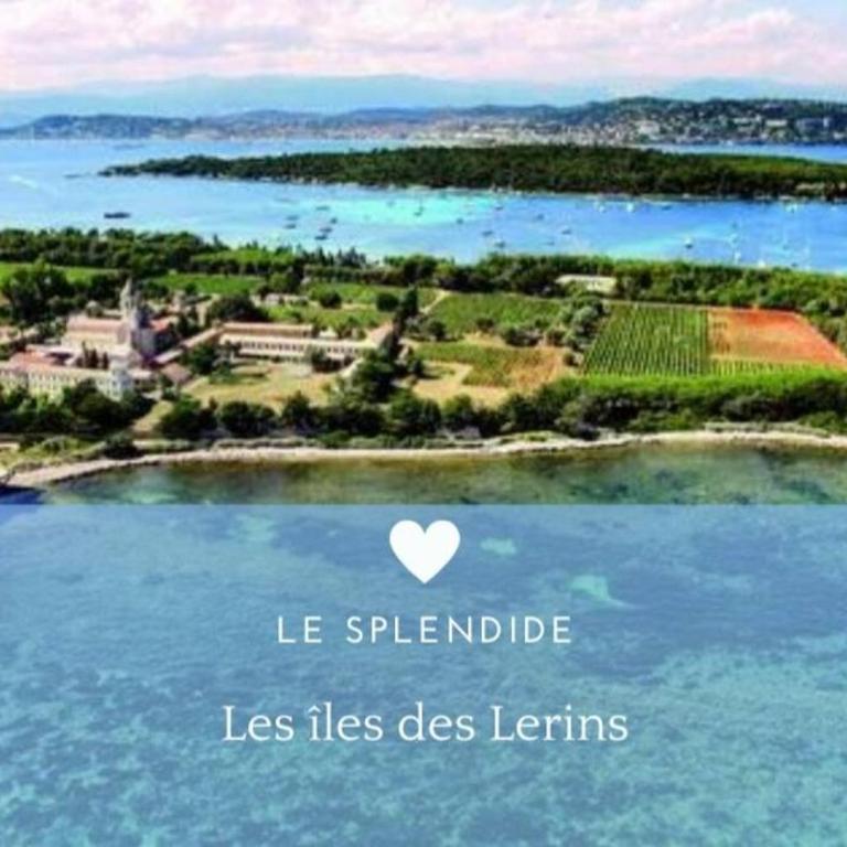 Le Splendide by Connexion - Appartement 2 Chambres - 36
