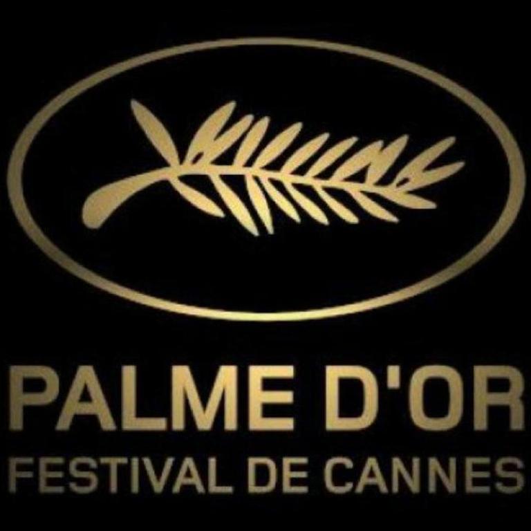Butterfly-Palais des Festival-center-quiet-AC-Wi Fi parking - Appartement 1 Chambre - 30