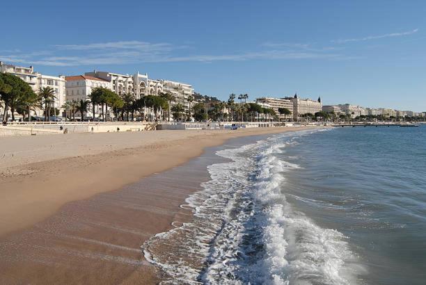 Butterfly-Palais des Festival-center-quiet-AC-Wi Fi parking - Appartement 1 Chambre - 34