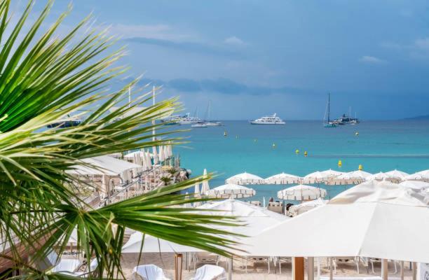 Butterfly-Palais des Festival-center-quiet-AC-Wi Fi parking - Appartement 1 Chambre - 35