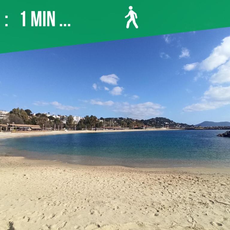 Little Phuket - Mourillon - Host - Apartamento de 1 dormitorio - 40