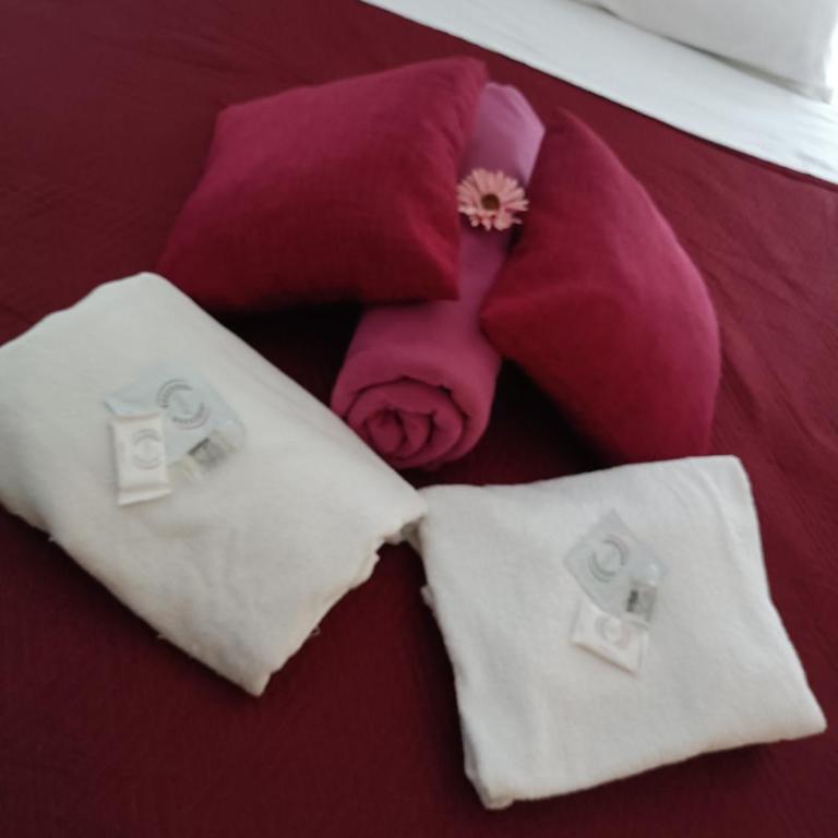 Sereno relax - Appartamento con 1 Camera da Letto - 12