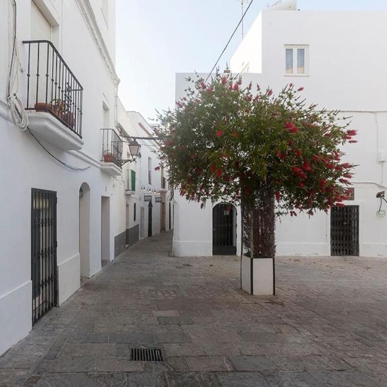 La Esquinita - Apartamento de 1 dormitorio - 31