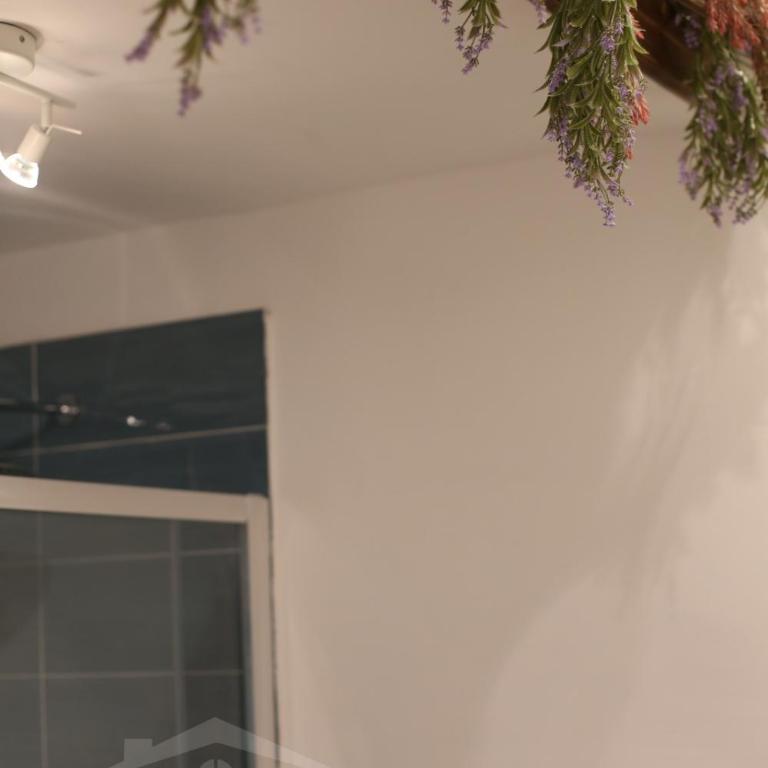 MAISON CANTONE - One-Bedroom Apartment - 20