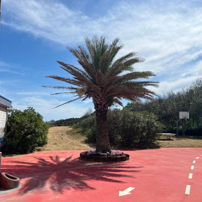 Beach House Riviera - Casa con 2 Camere da Letto - 33