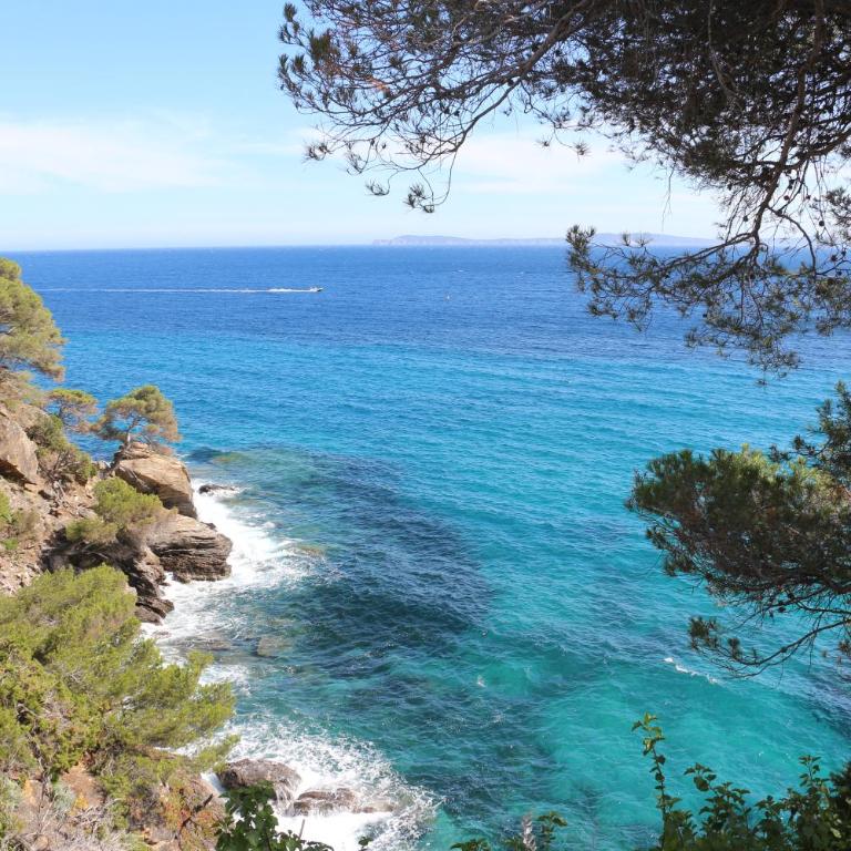 T2 Terrasse, Bormes Les Mimosas La Faviere, 5 Pers, 5 mn à pieds des plages et commerces - Appartement 1 Chambre - 29