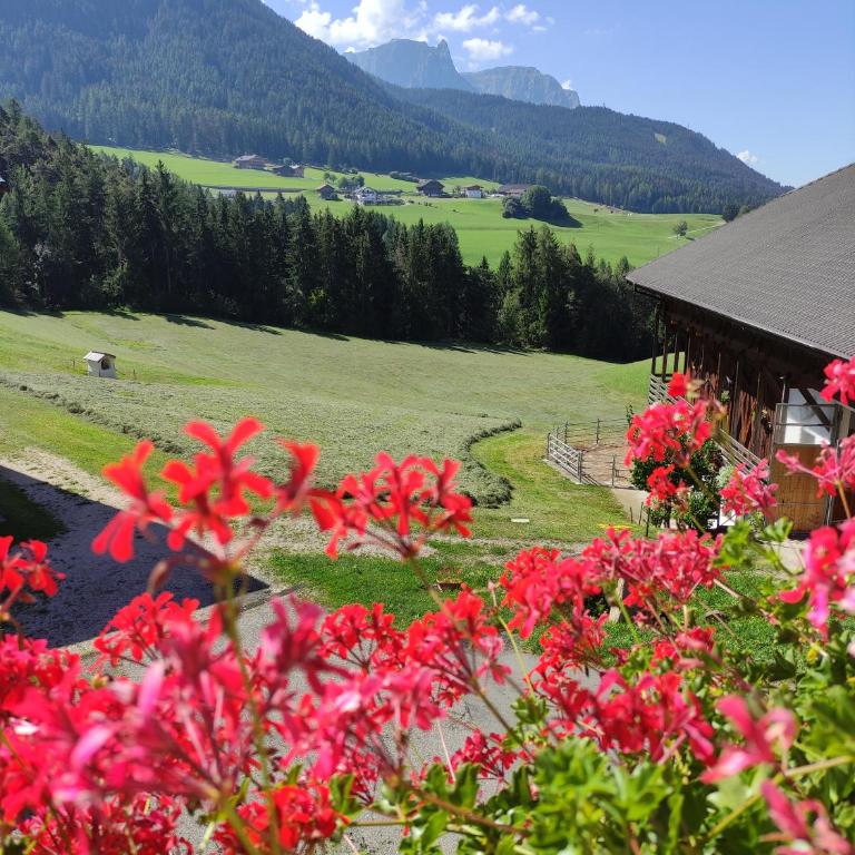 Polzhof - Appartamento con Vista Montagna - 2