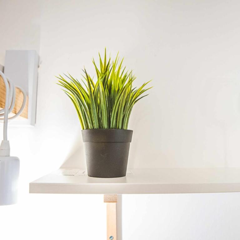 Cas358 Luxury Suite - One-Bedroom Apartment with Spa Bath - 36