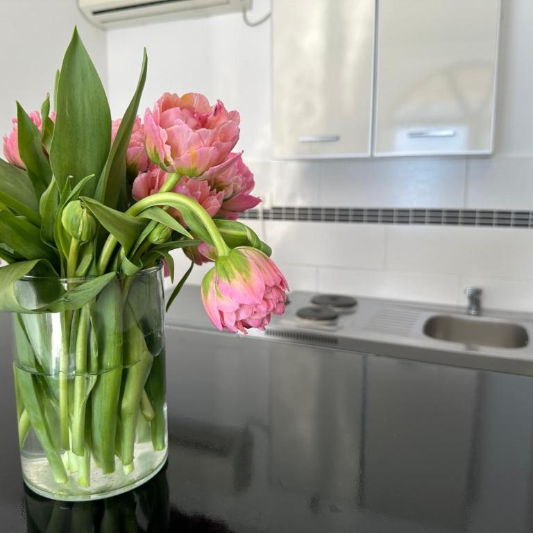 Accommodation Tomcuk - Studio Apartment - 13