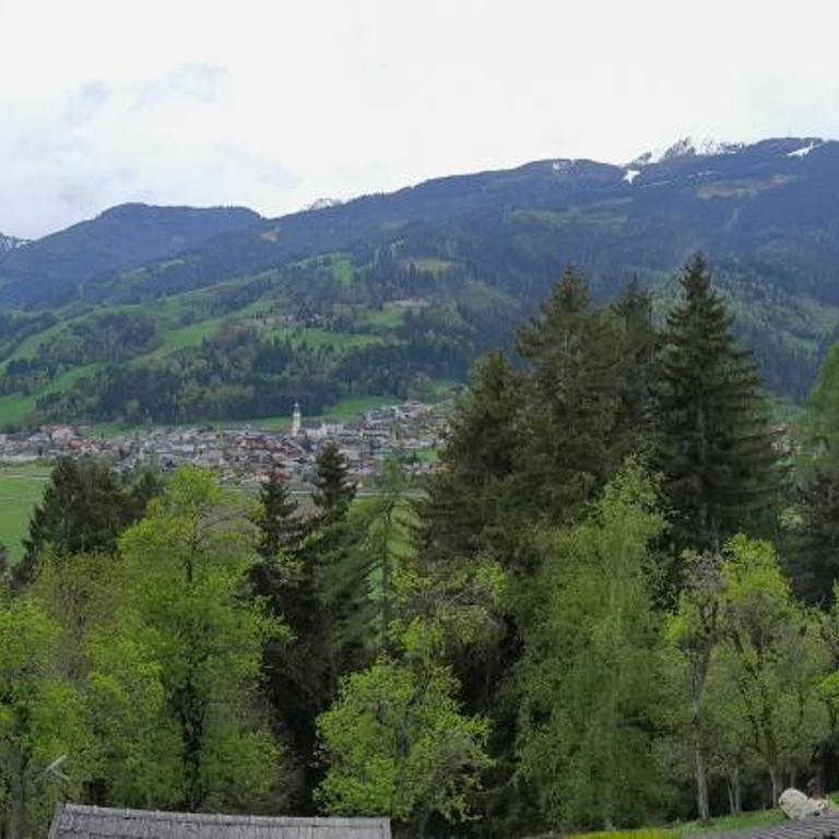 Forsterhof - Apartment mit Blick auf die Berge - 7