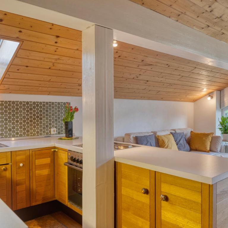 Ruhige Ferienwohnungen Partenkirchen 1 - One-Bedroom Apartment - 9