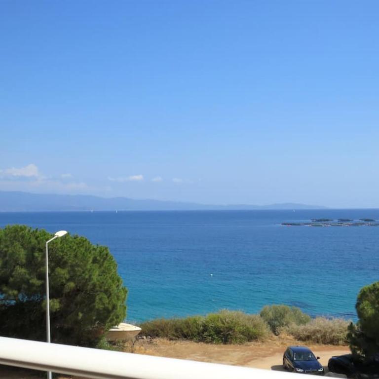 Bel app T2 en bord de Mer vue Sanquinaires piscine - Appartement 1 Chambre - 10