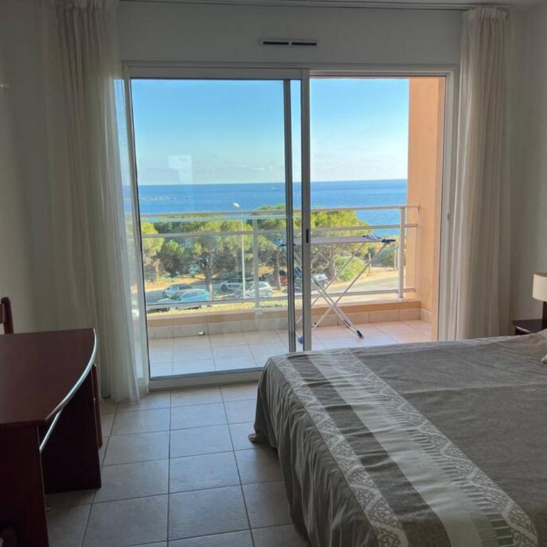 Bel app T2 en bord de Mer vue Sanquinaires piscine - Appartement 1 Chambre - 27