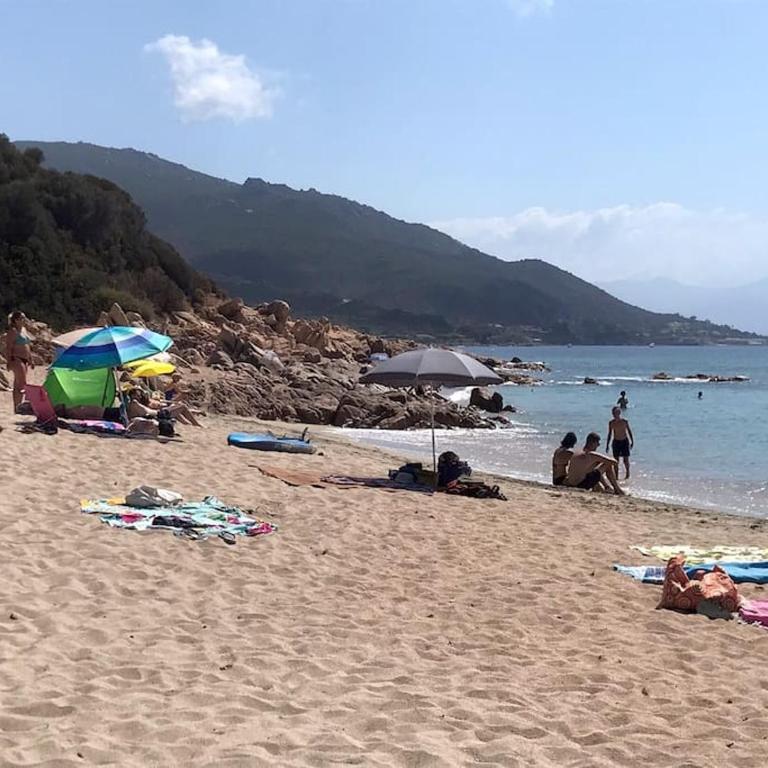 Bel app T2 en bord de Mer vue Sanquinaires piscine - Appartement 1 Chambre - 40