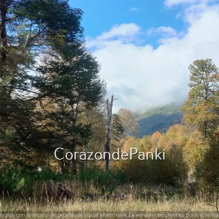 Corazon de Panki - Two-Bedroom House - 29