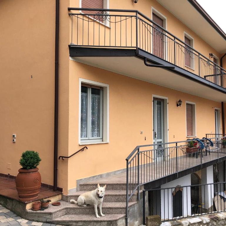 Casa Teodoro - Gelsomino, Ulivi & Orchidea - Appartamento con 2 Camere da Letto - 25