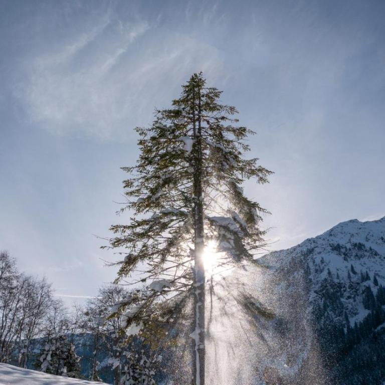 Silber Lodge im Wiesenstein - Apartamento con balcón - 34
