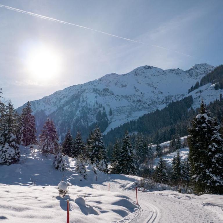 Silber Lodge im Wiesenstein - Apartamento con balcón - 35