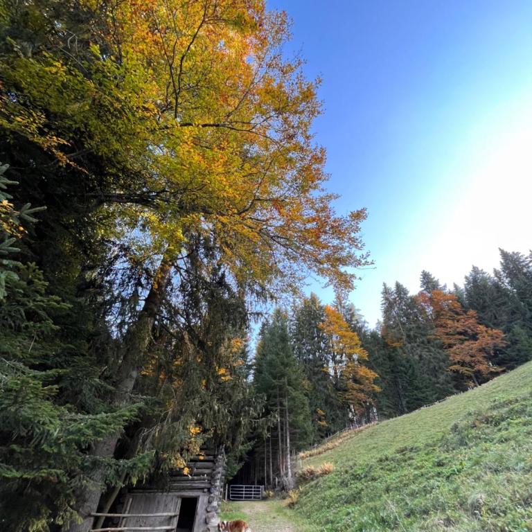 Silber Lodge im Wiesenstein - Apartamento con balcón - 38