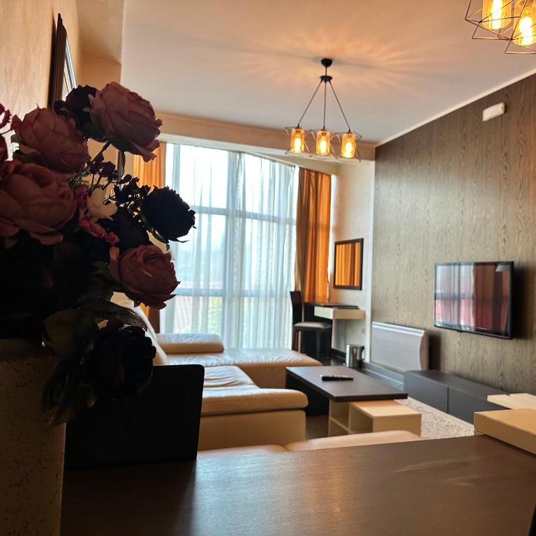 Hotel Alexandar Lux - Superior Apartman - 4