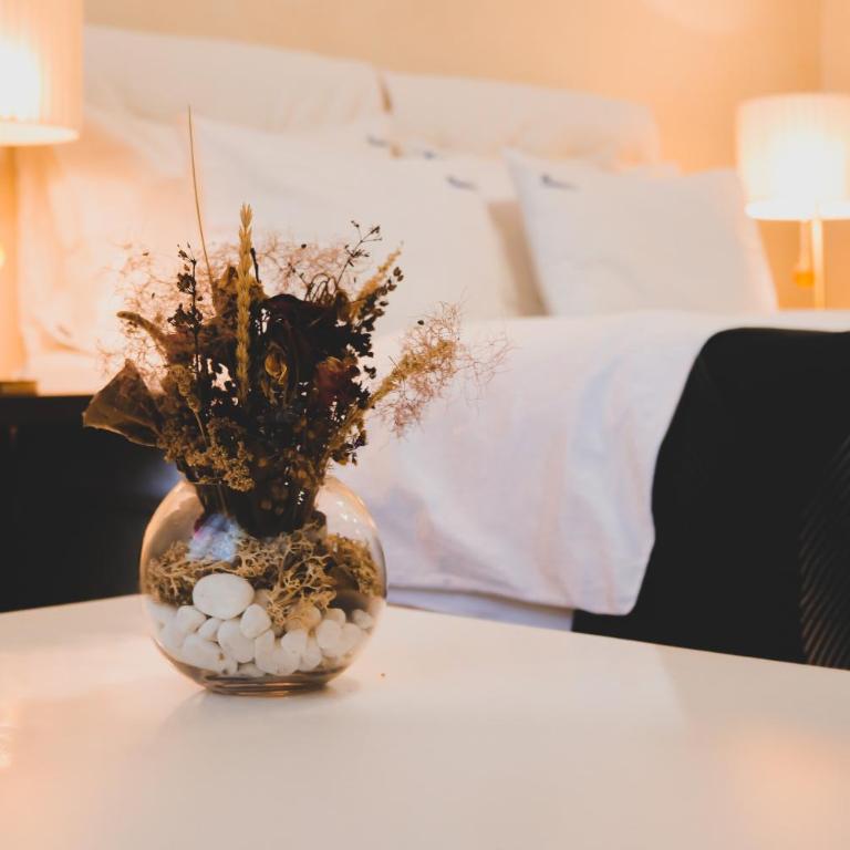 Hotel Alexandar Lux - Studio Apartment - 1