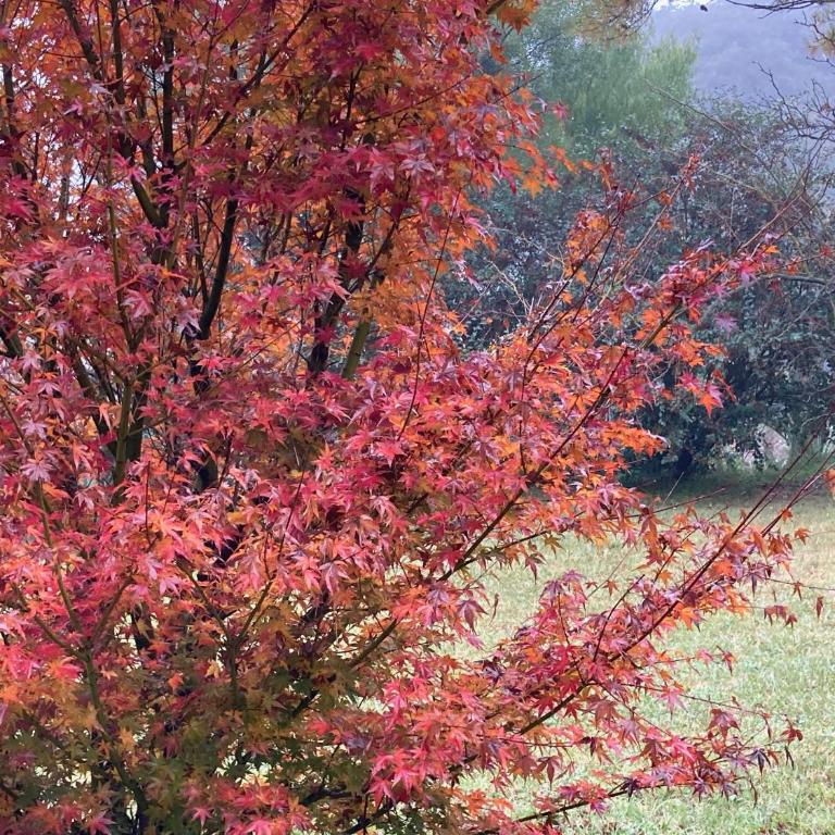 AbbeyHouse descanso y vacaciones - Double or Twin Room with Private Bathroom - 10