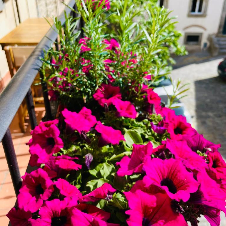 Balcone Fiorito, nel cuore del centro storico di Cortona - Appartamento - 46
