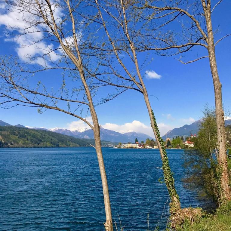 Ferienhaus2, Ideal für 2 Paare und Kinder , Terrasse, 85m2, 2 Bäder, Aktivurlaub am See und in den Bergen - Ferienhaus 2 - 21