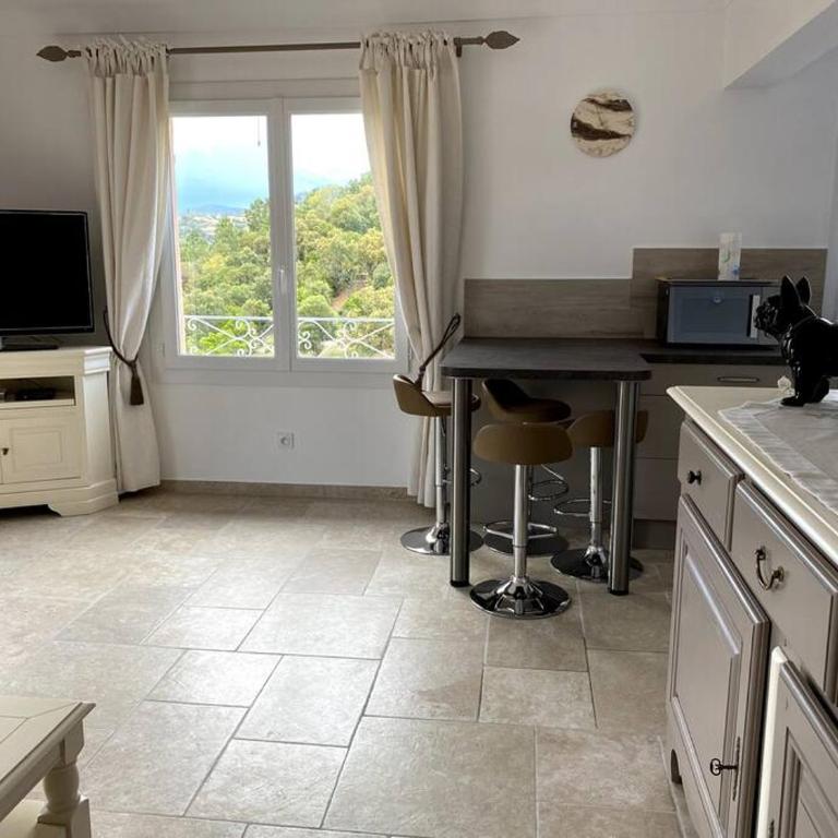 Agréable appartement vue mer - Appartement 1 Chambre - 17