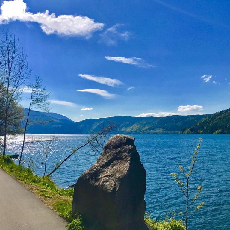 Ferienhaus1 in Kärnten am Millstätter See, 85m2, Grill, 2 Bäder, ideal für Familien und Paare - Ferienhaus 1 - 22
