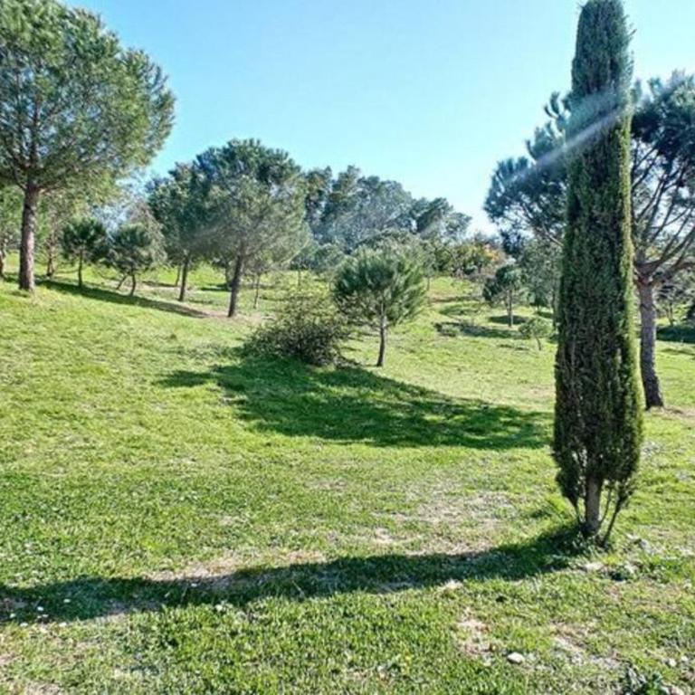 Appartement Les Eucalyptus dans domaine privé à Cannes - Appartement 1 Chambre - 19