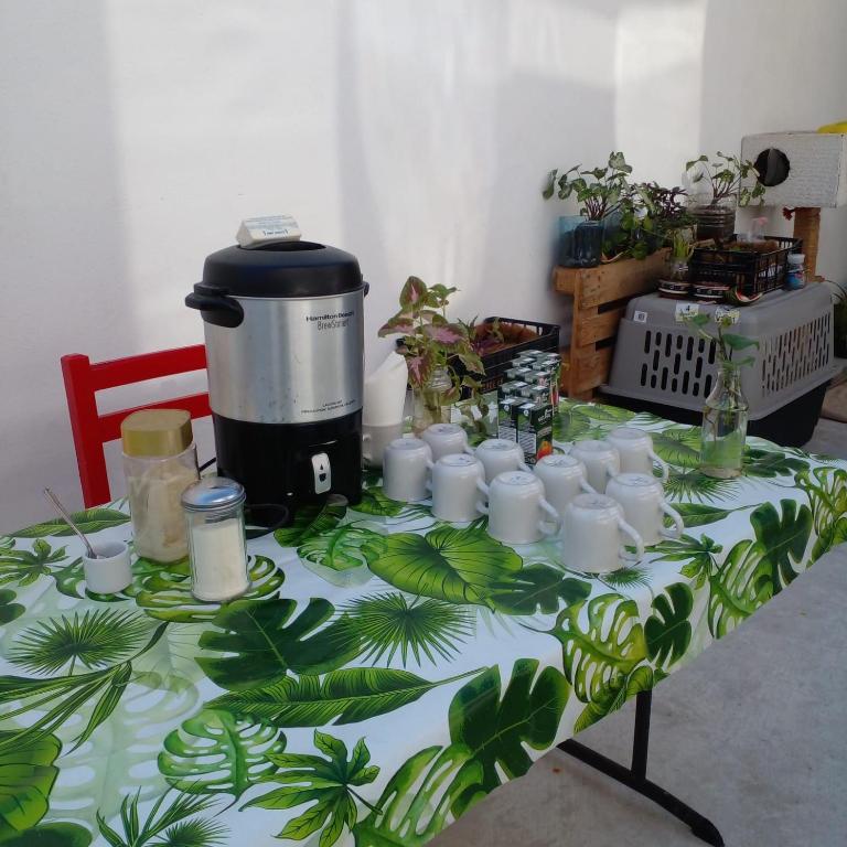 Vive Alegria Hostel - Standard Double Room with Shared Bathroom - 6