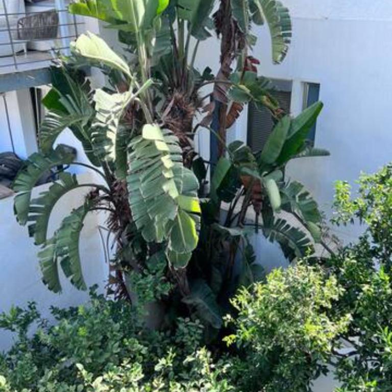 Appartement C dans une villa avec piscine & jacuzzi - Two-Bedroom Apartment - 39