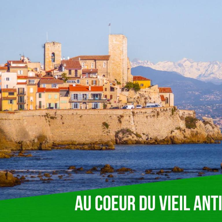 Le Bali Safranier Vieil Antibes - Appartement 1 Chambre - 16