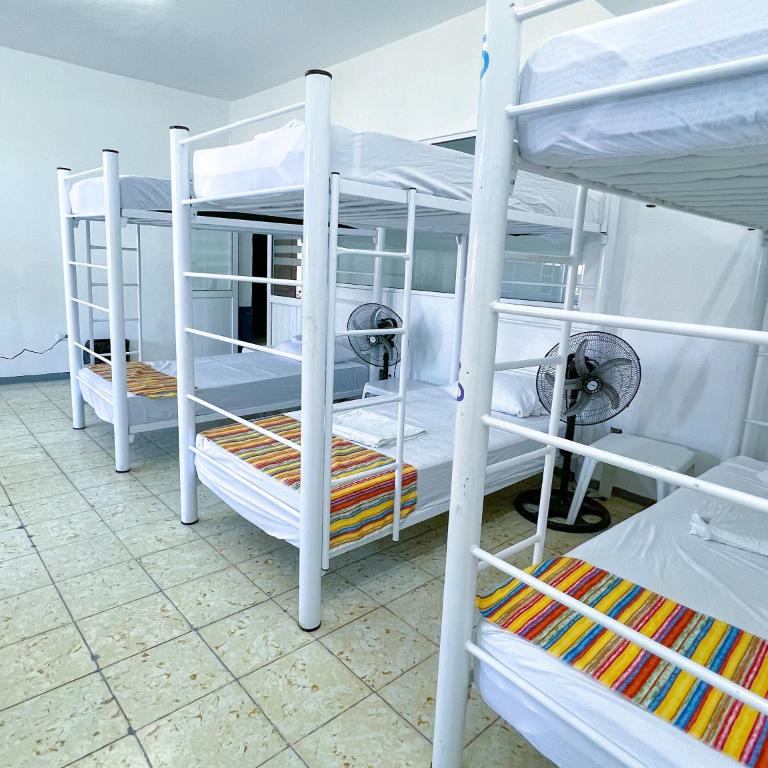 Vive Alegria Hostel - Bunk Bed in Mixed Dormitory Room - 5