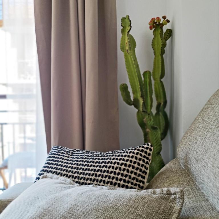 The Secret Oasis Malaga - Apartamento de 2 dormitorios - 26