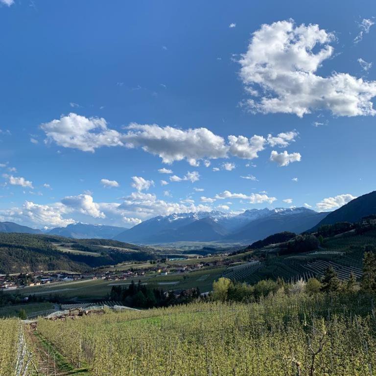 Agritur Maso Forcola - Camera Matrimoniale/Doppia con Letti Singoli con Vista Montagna - 1