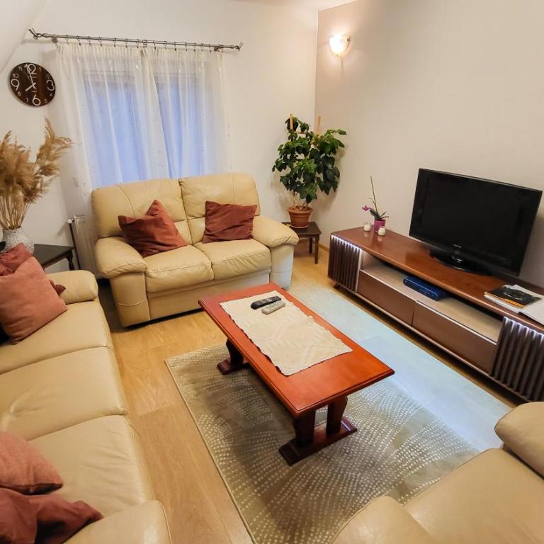 Apartment Home Popovic - Apartment - 8