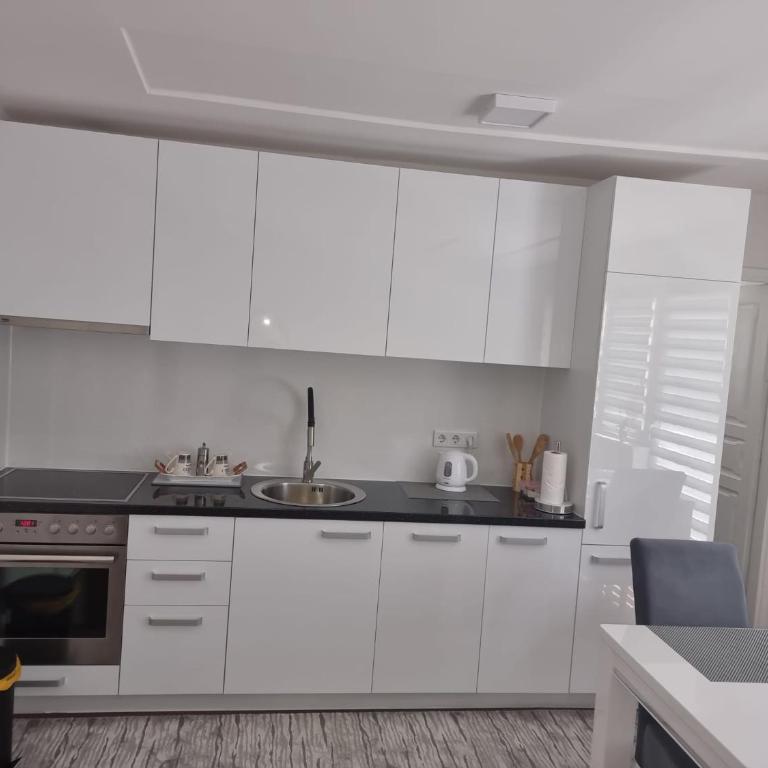 Apartments FOUR SEASONS - Deluks Dvokrevetna Soba sa Bračnim Krevetom/Zasebnim Krevetima i Balkonom - 22