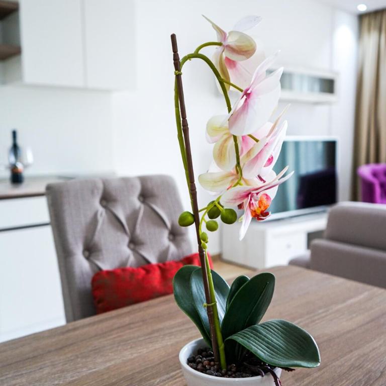 Val Lux Apartmani - Apartman sa 2 Spavaće Sobe i Pogledom na More - 14