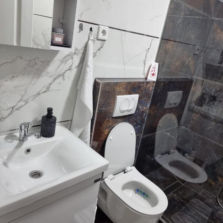 Apartments FOUR SEASONS - Deluks Dvokrevetna Soba sa Bračnim Krevetom/Zasebnim Krevetima i Balkonom - 11