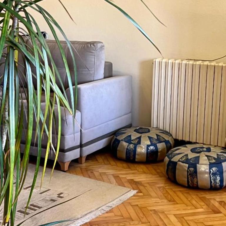 Holiday House Bistrik - Apartman sa Pogledom na Vrt - 19