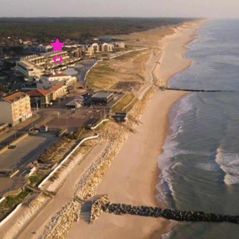 L'Océan&Dunes vue à 180° en bord de plage - Appartamento con 1 Camera da Letto - 38