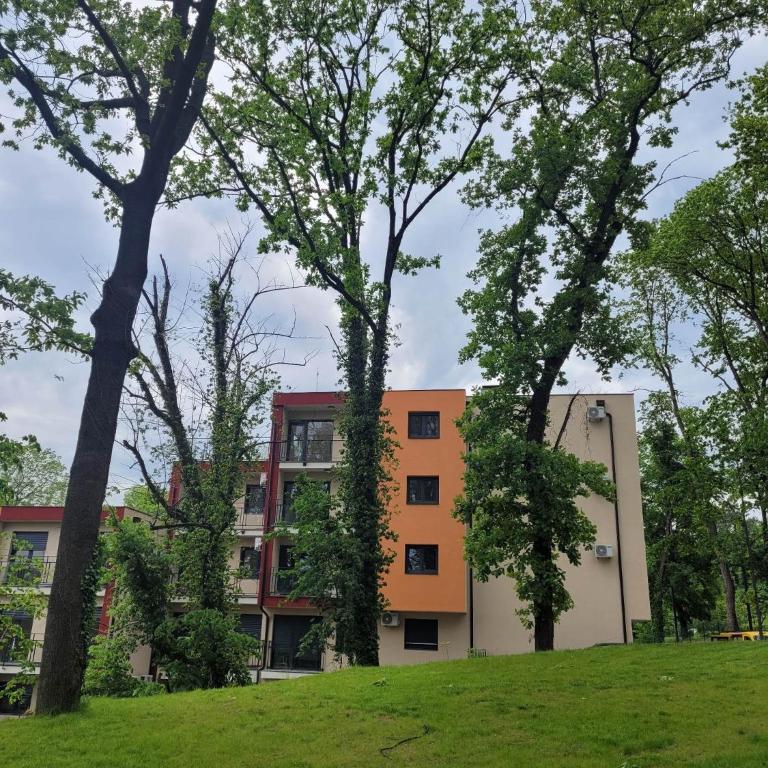 Apartman Ruža - Studio Apartment - 17
