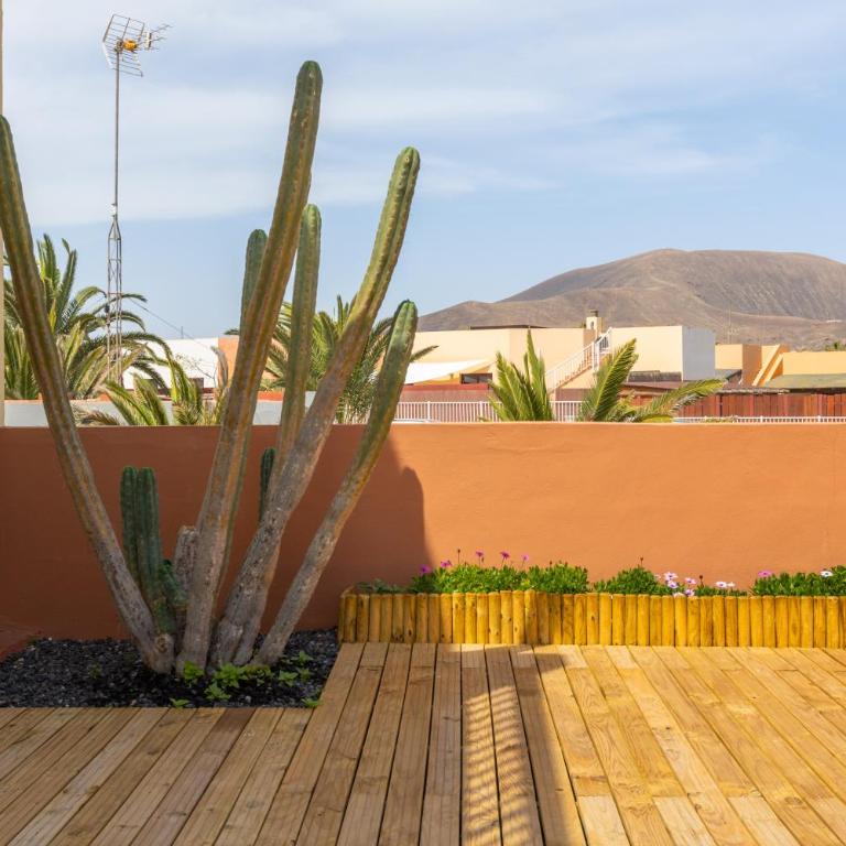 Garden house with two terraces - Apartamento de 2 dormitorios - 2