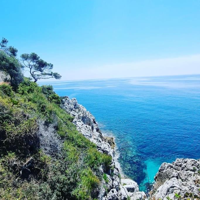 150 m plage, piscine, clim, parking privé, entre Monaco & Menton, calme & Luxe assuré ! - Appartement 2 Chambres - 24