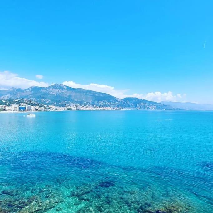 150 m plage, piscine, clim, parking privé, entre Monaco & Menton, calme & Luxe assuré ! - Appartement 2 Chambres - 28