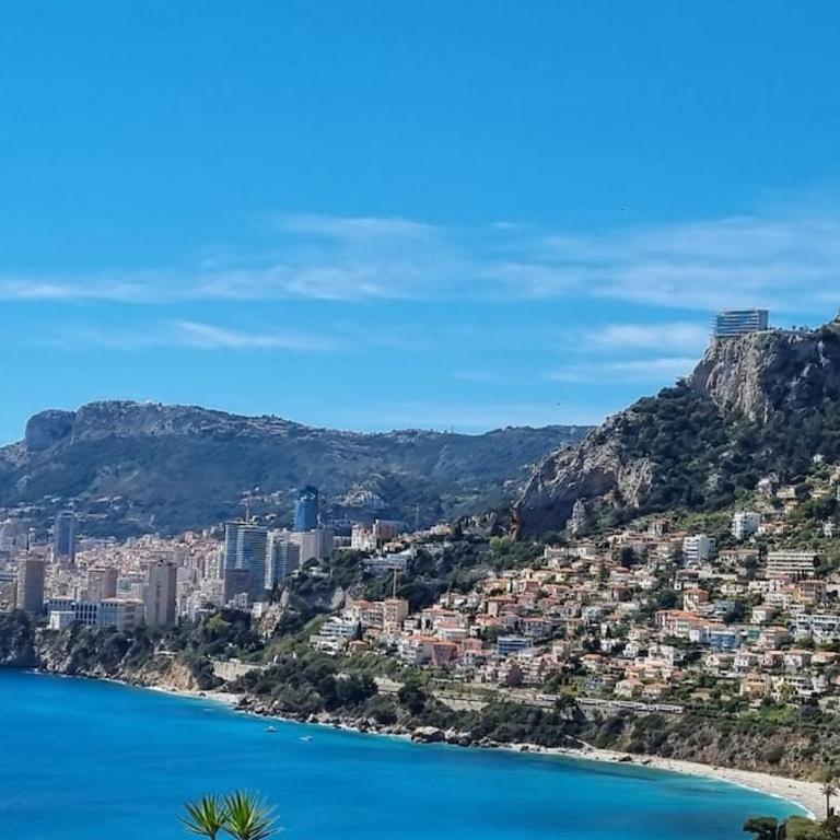 150 m plage, piscine, clim, parking privé, entre Monaco & Menton, calme & Luxe assuré ! - Appartement 2 Chambres - 29